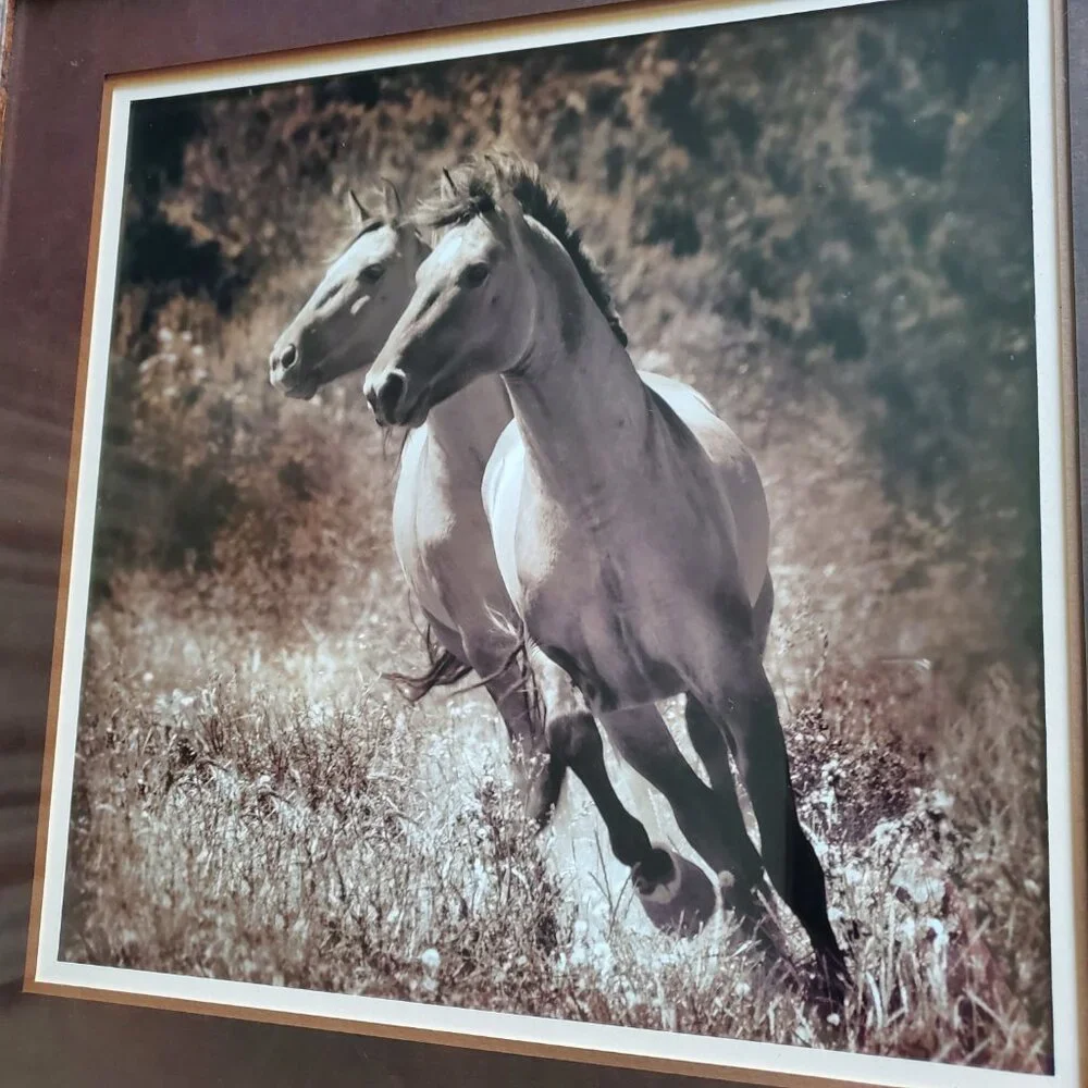 Horse Partners Framed Art Picture By Kimerlee Curyl Horses Running